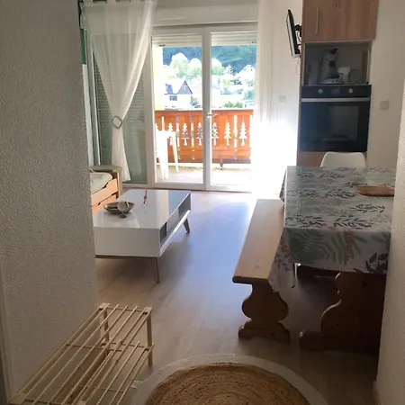 T 3 Vue Montagne - Piscine Mi Juin Apartment